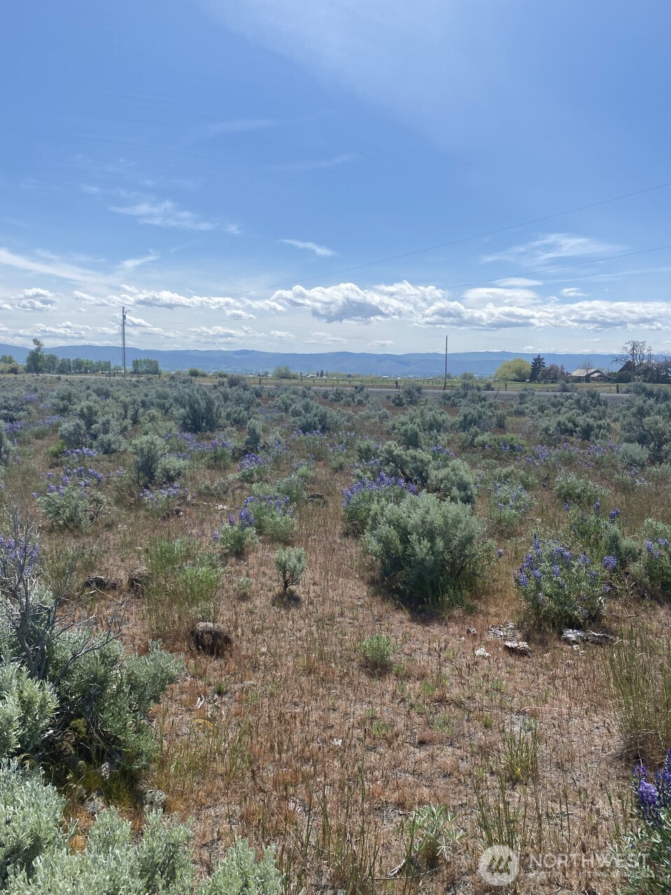 5 A Lester Road Ellensburg, WA 98926 - Photo 9 of 14 a view of a field with an ocean