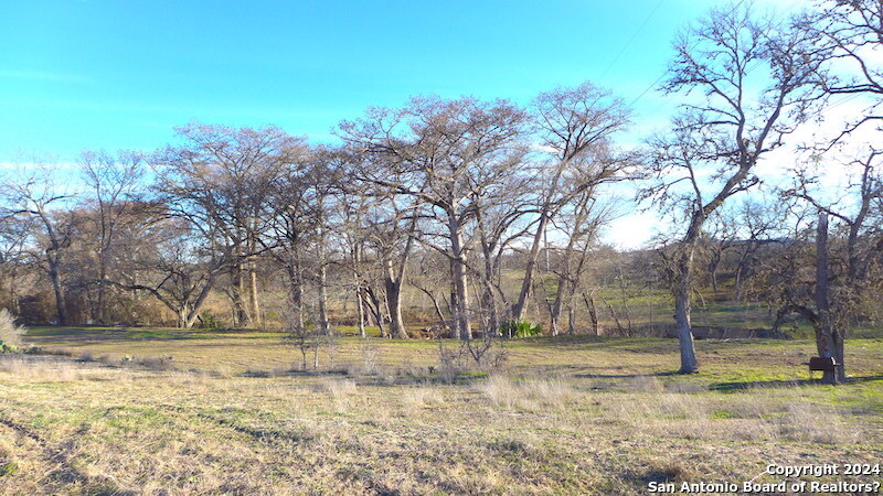 327 Idlewilde Boulevard Comfort, TX 78013 - Photo 11 of 16