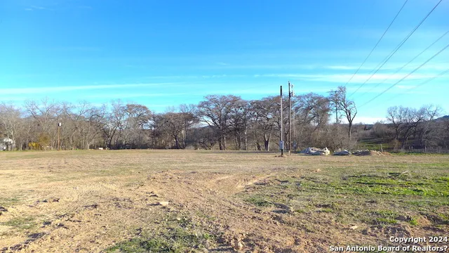 a view of a yard with trees