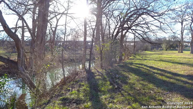 a view of a yard with large trees