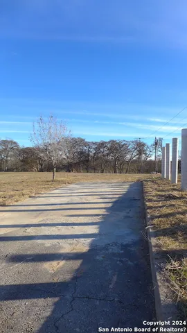a view of backyard with large trees