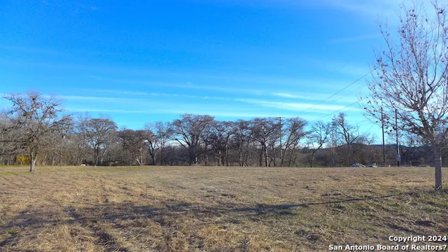 a view of yard with tree