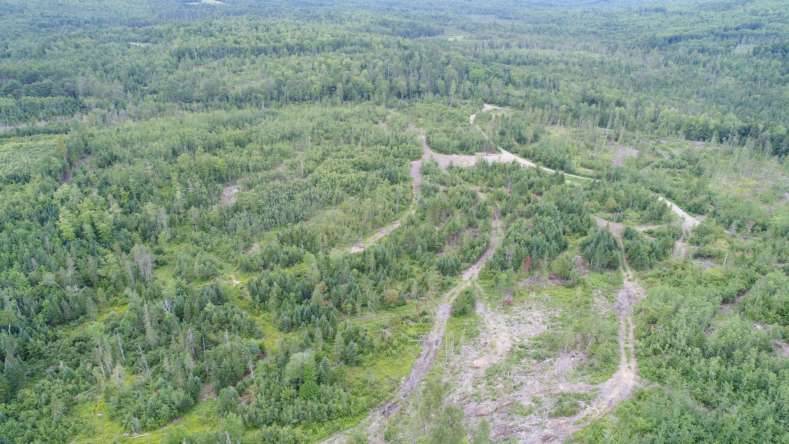 Tbd McCarty Road Solon, ME 04979 - Photo 9 of 17 DJI_0111