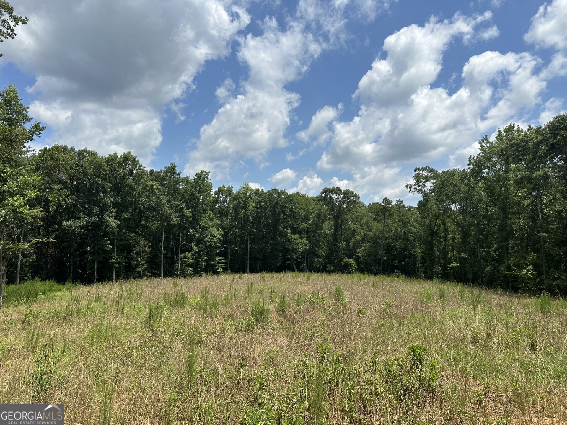 2200 Duffell Martin Road Comer, GA 30629 - Photo 10 of 21