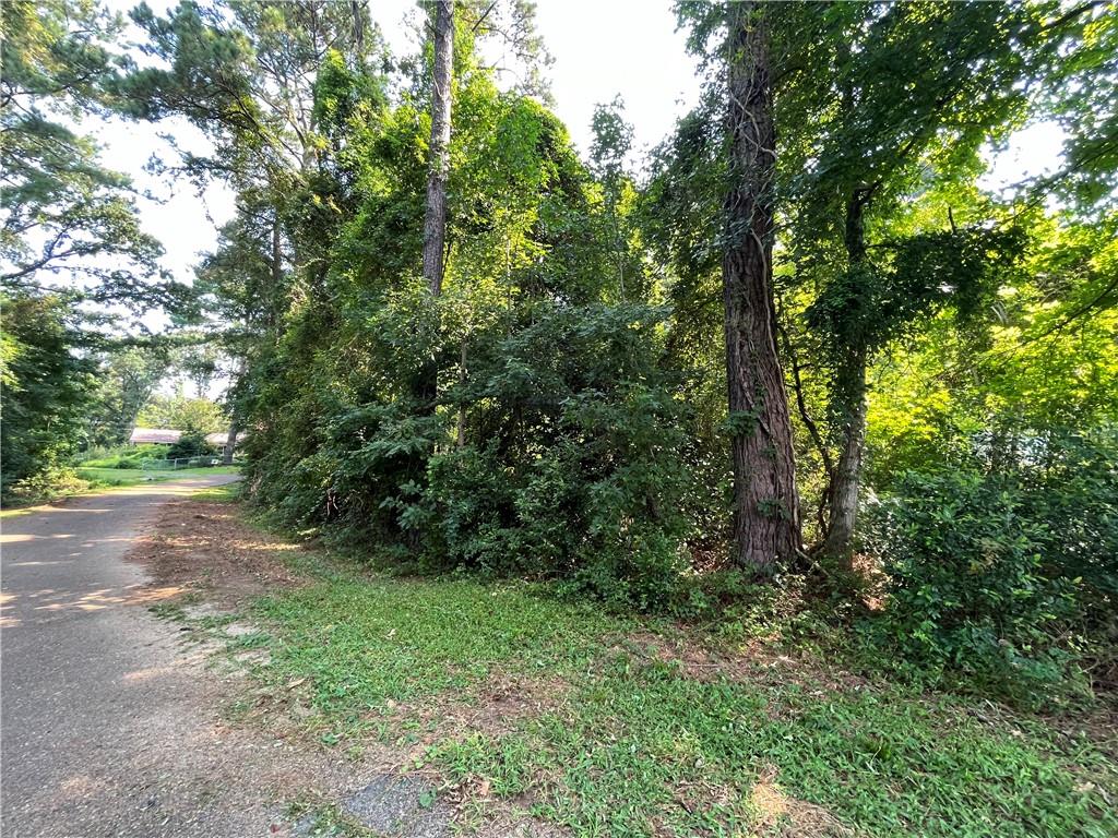 0 Cortez Circle Boyce, LA 71409 - Photo 3 of 4