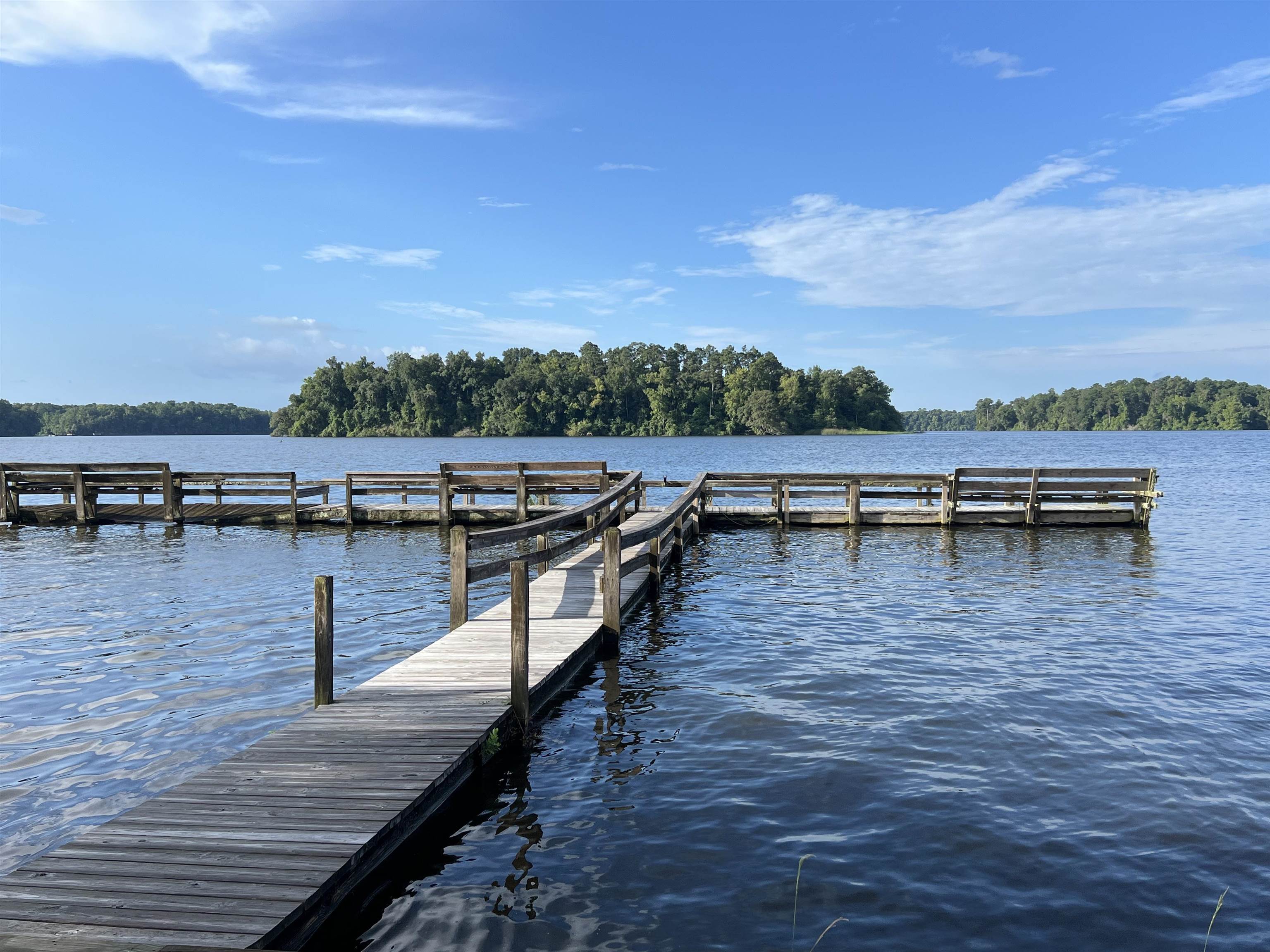 4623 McCall Bridge Road Quincy, FL 32351 - Photo 9 of 16 Gallery Image 9