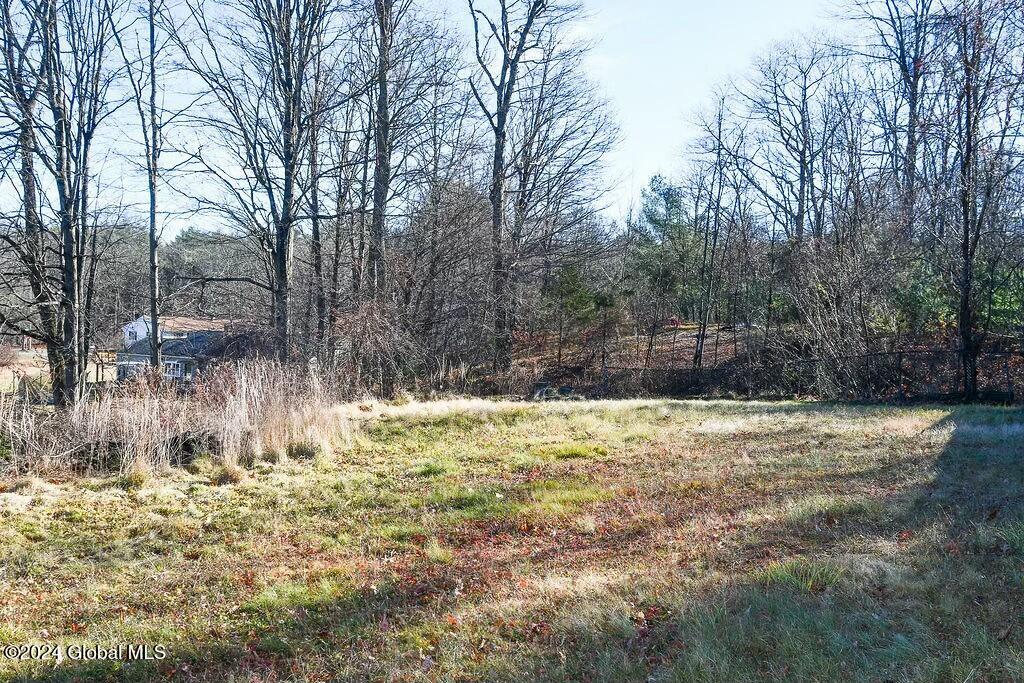 73 Birch Street Cairo, NY 12413 - Photo 25 of 27 tempImagezRRlj7