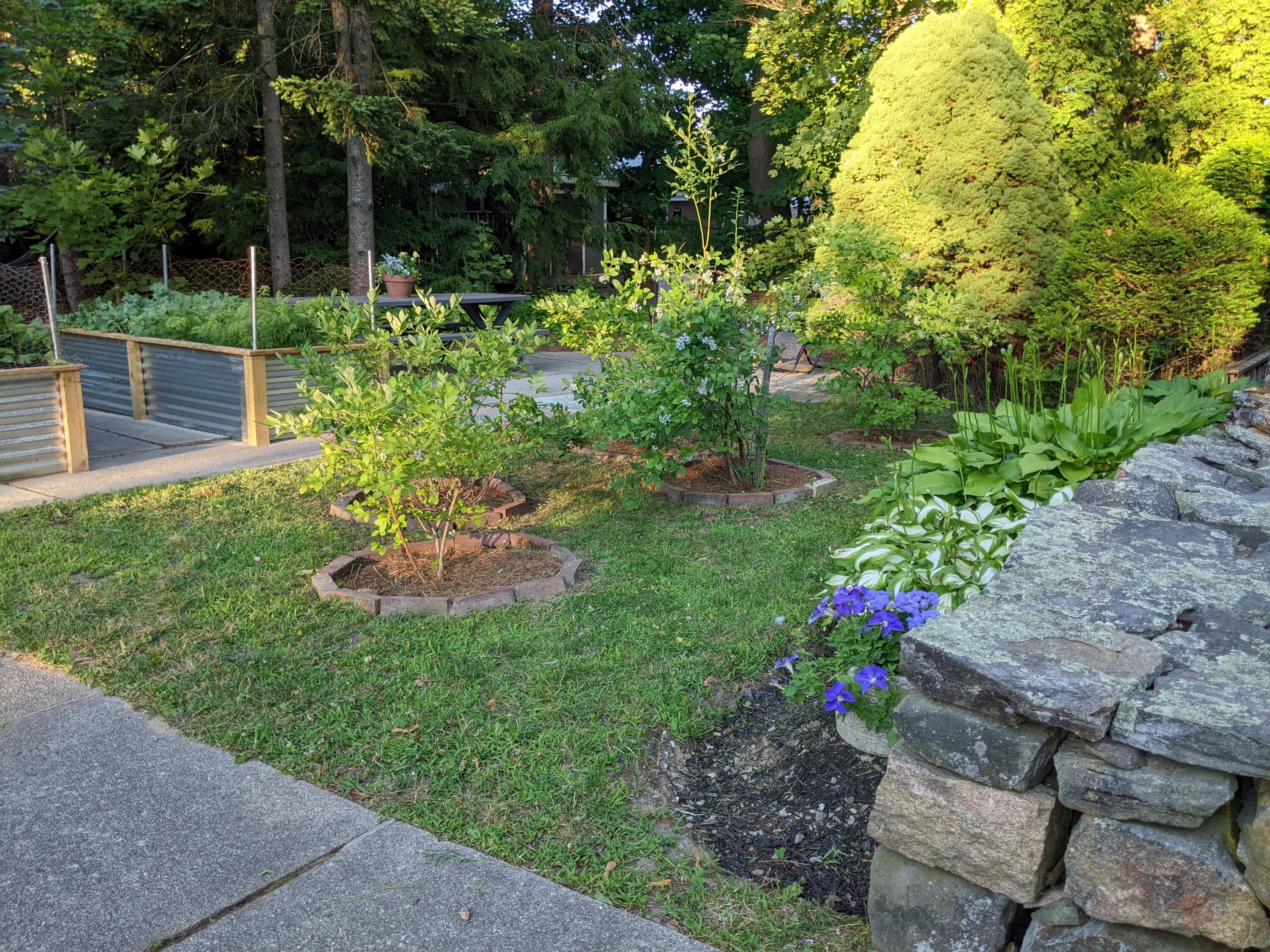 44 O'connell Street Lewiston, ME 04240 - Photo 59 of 61 PXL_20220706_232938754