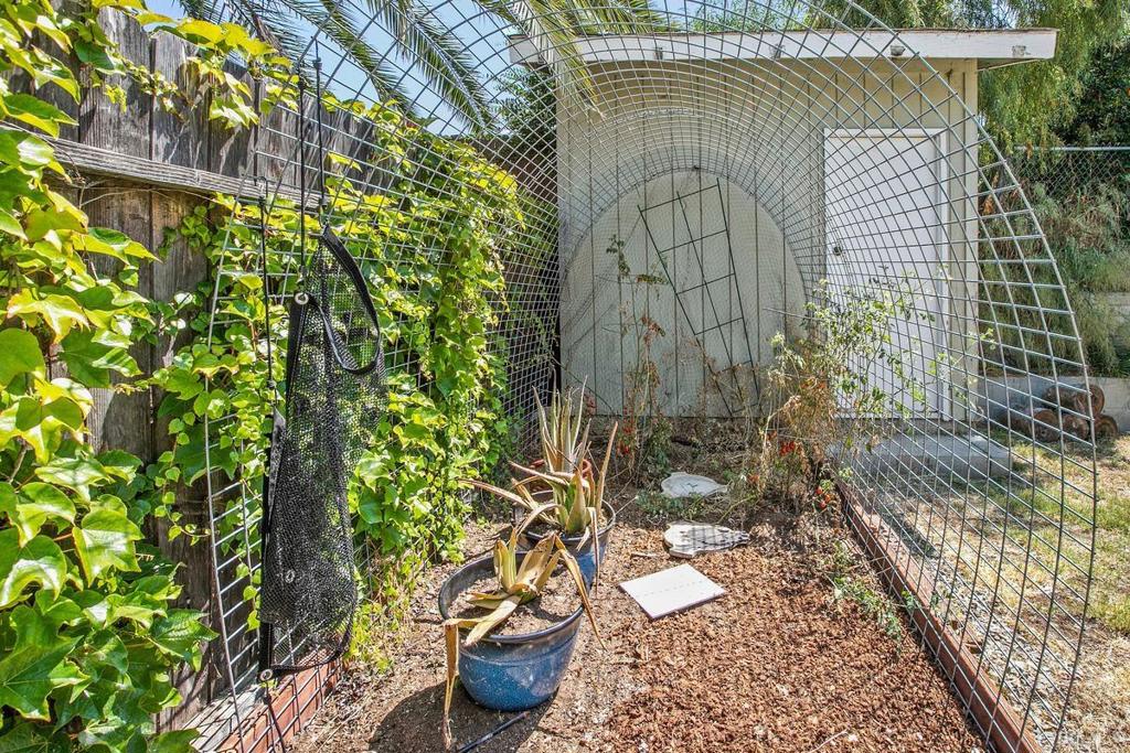 1451 Gowin Street Spring Valley, CA 91977 - Photo 23 of 24 a close up of a potted plant
