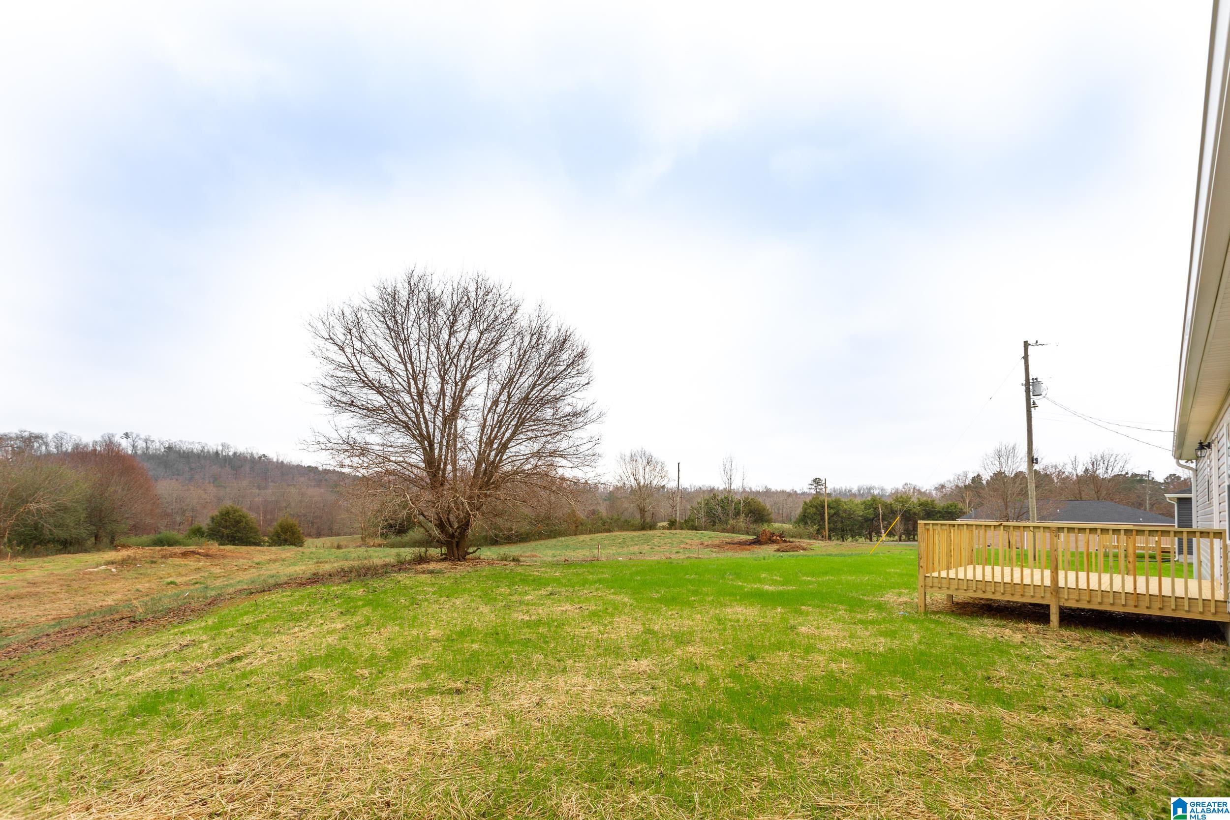 85 Grants Road Ohatchee, AL 36271 - Photo 36 of 36