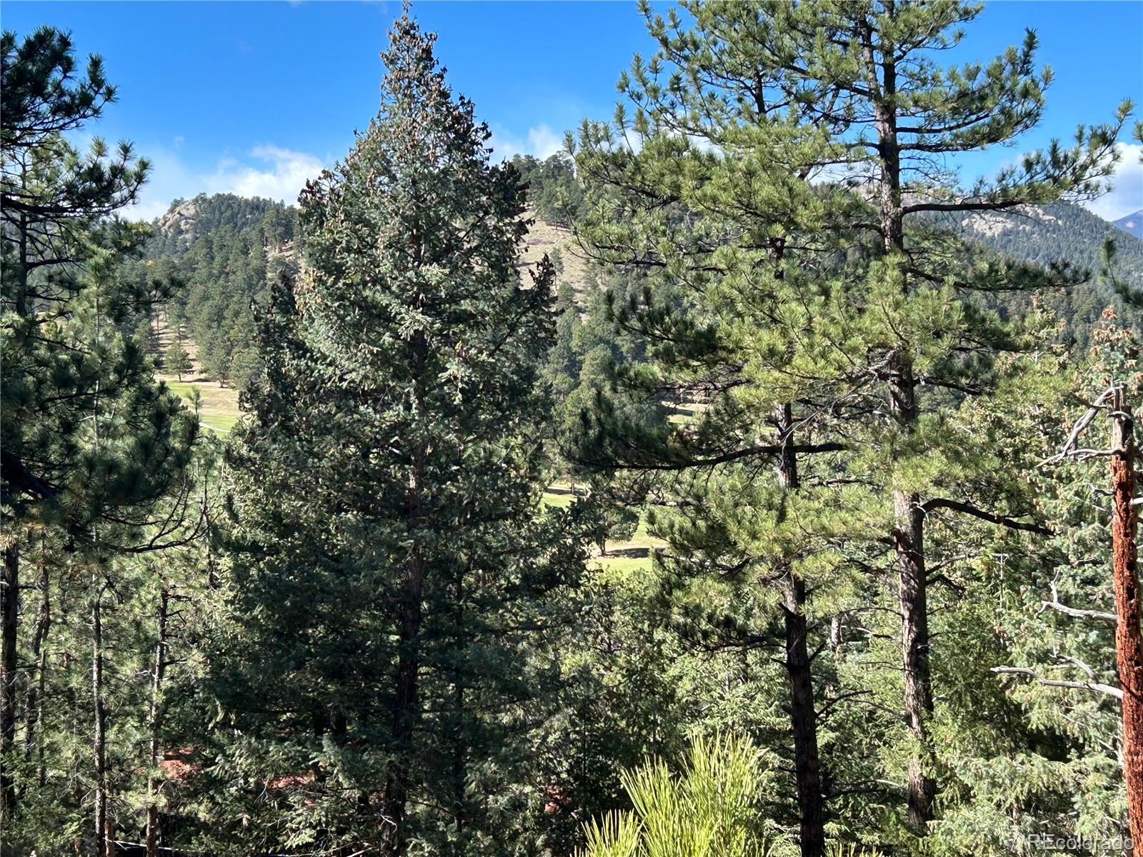 0 Pine Road Evergreen, CO 80439 - Photo 3 of 9