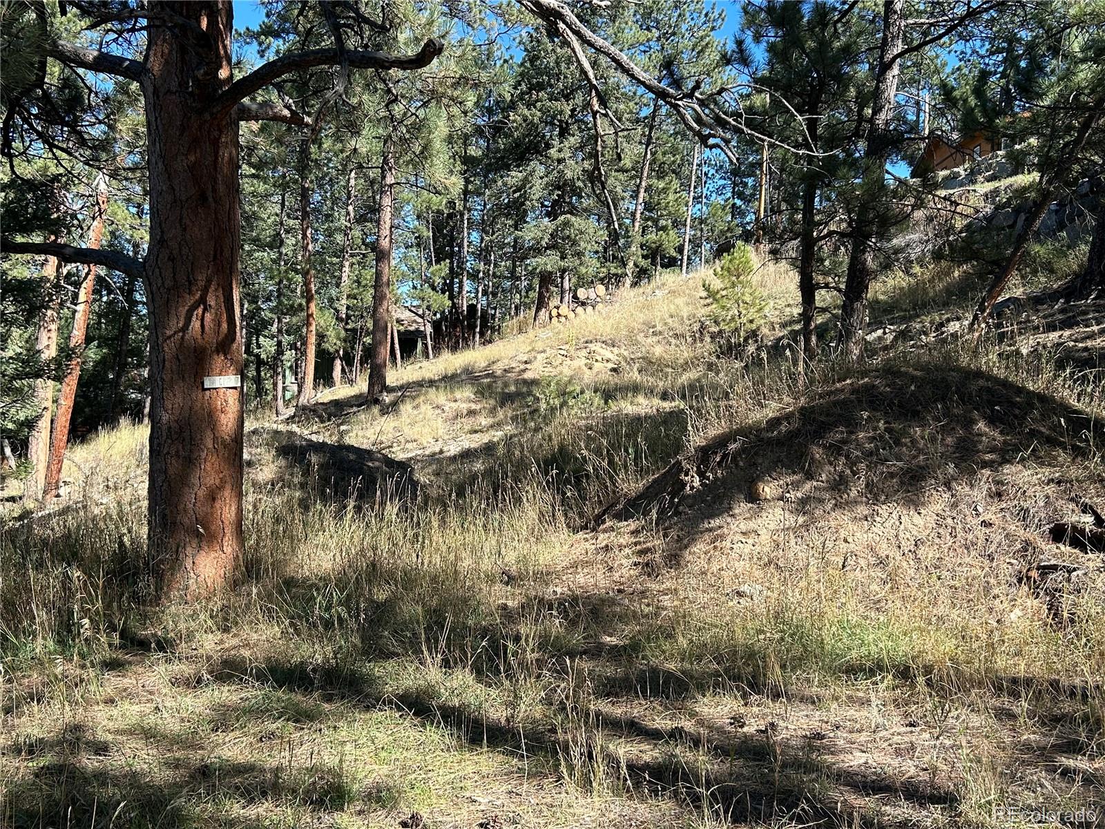 0 Pine Road Evergreen, CO 80439 - Photo 4 of 9