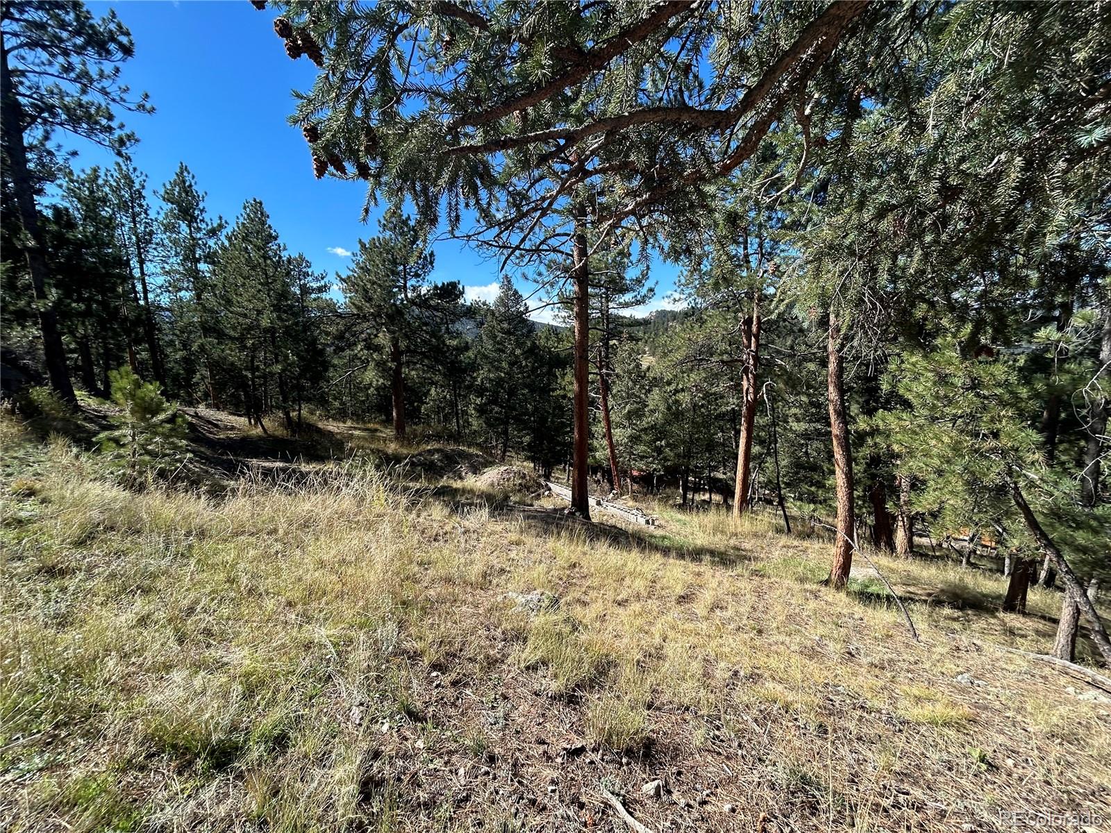 0 Pine Road Evergreen, CO 80439 - Photo 5 of 9