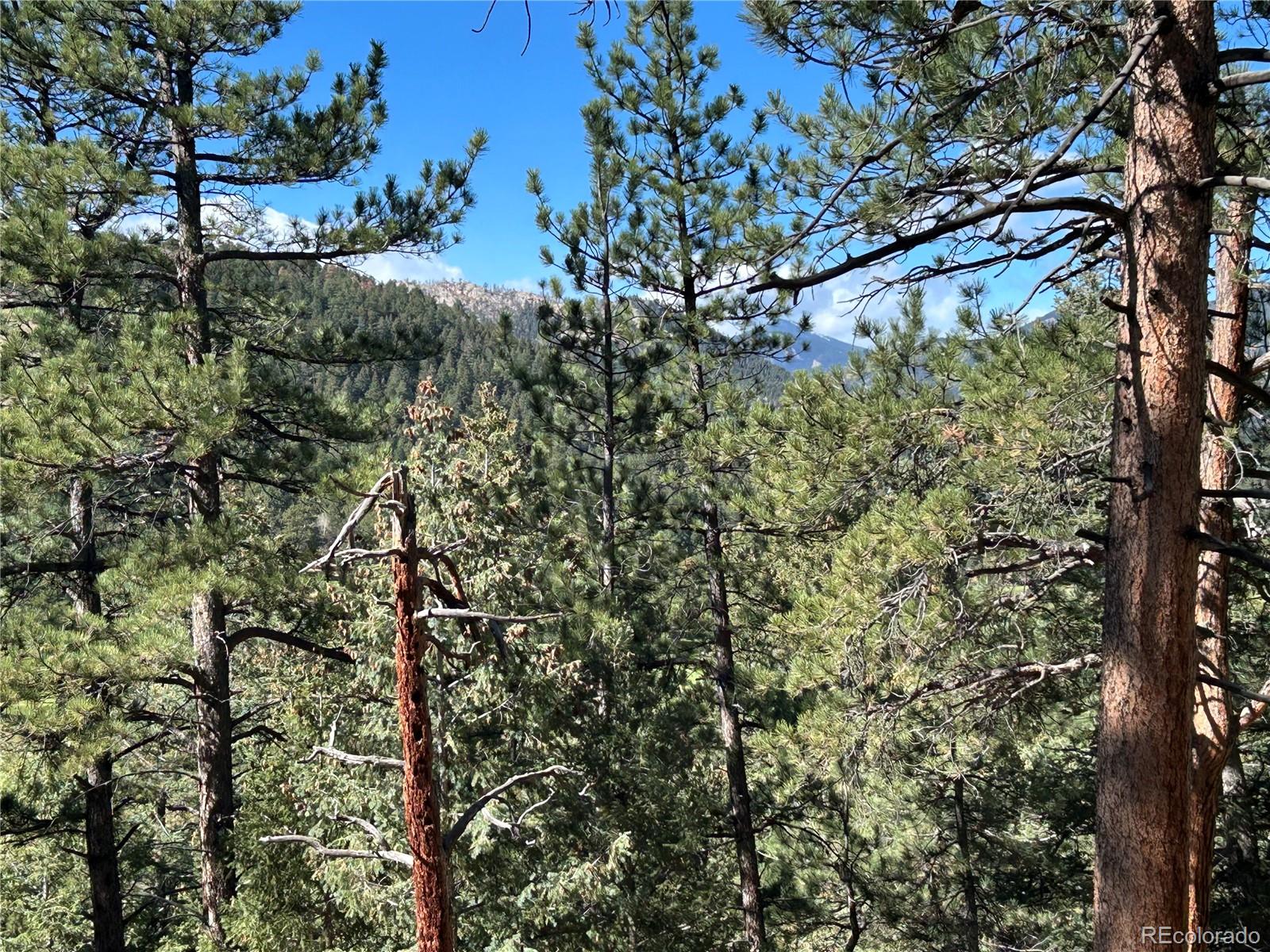 0 Pine Road Evergreen, CO 80439 - Photo 6 of 9