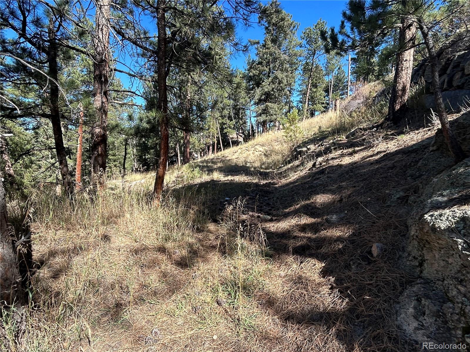 0 Pine Road Evergreen, CO 80439 - Photo 7 of 9