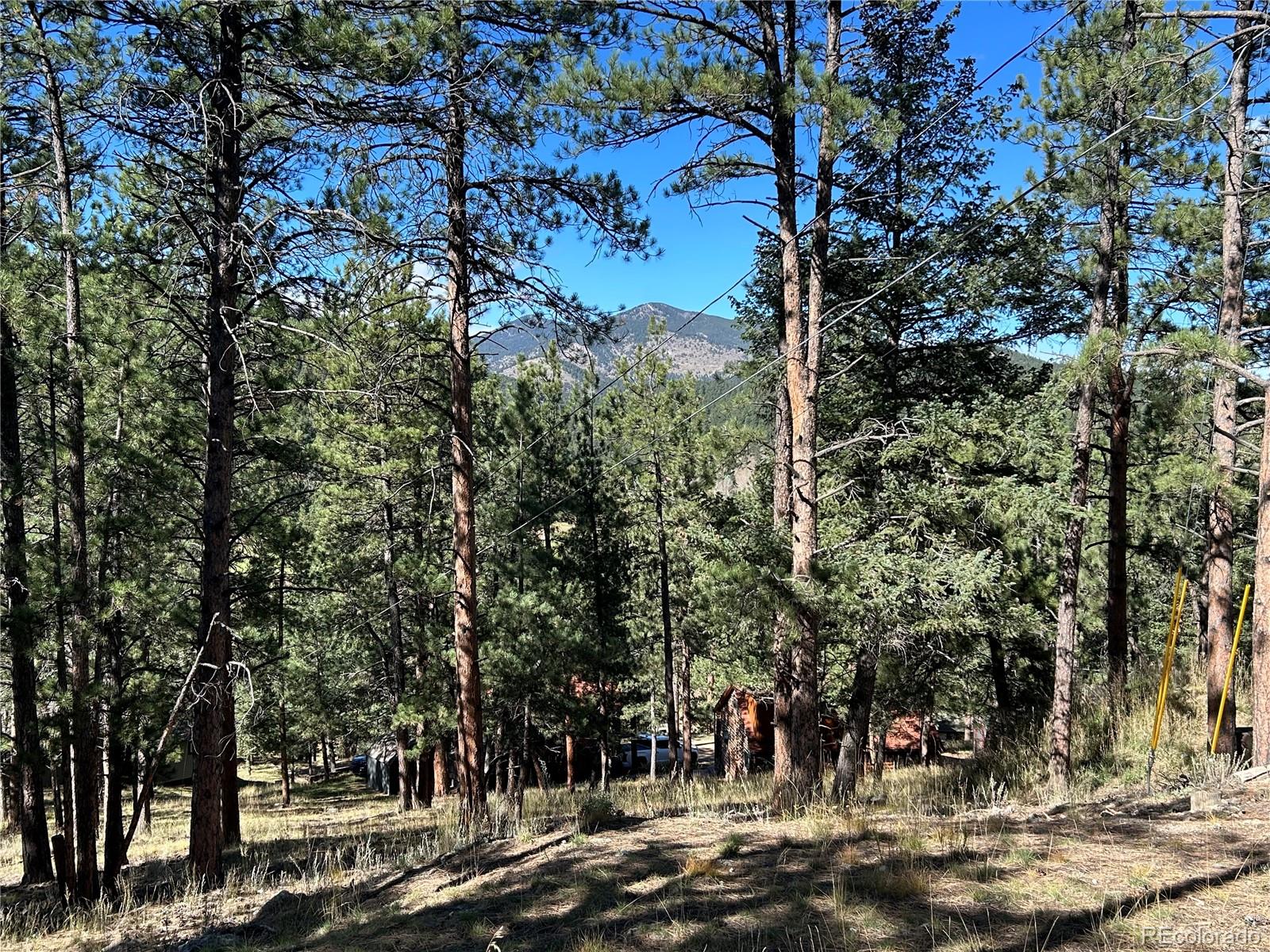 0 Pine Road Evergreen, CO 80439 - Photo 8 of 9