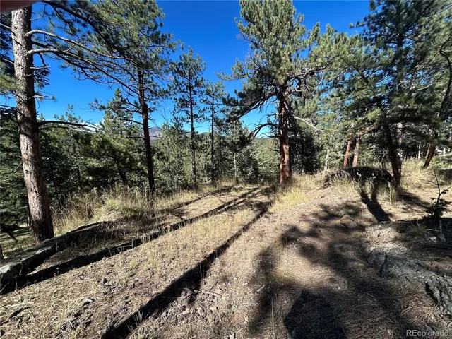 $450,000 | 0 Pine Road, Evergreen, CO 80439