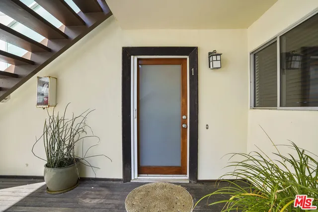 a view of a potted plant in front of a house