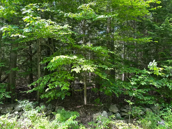 $89,000 | 0 Dingley Road, Bowdoinham, ME 04008