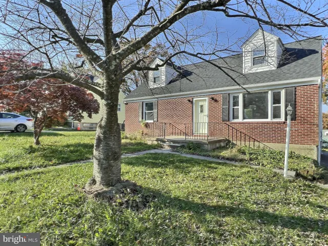 a backyard of a house with plants and large tree