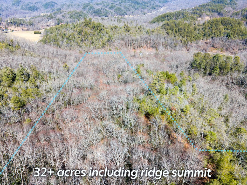1316 Junaluska Road Andrews, NC 28901 - Photo 59 of 68 Aerial Shot 2