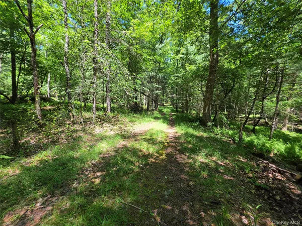 $84,900 | Tbd Camp Kennybrook Road, Monticello, NY 12701
