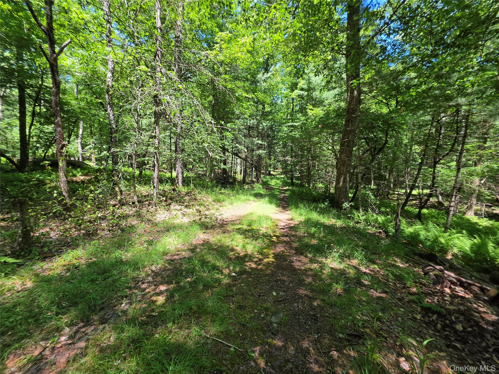 Tbd Camp Kennybrook Road Monticello, NY 12701 - Photo 1 of 34