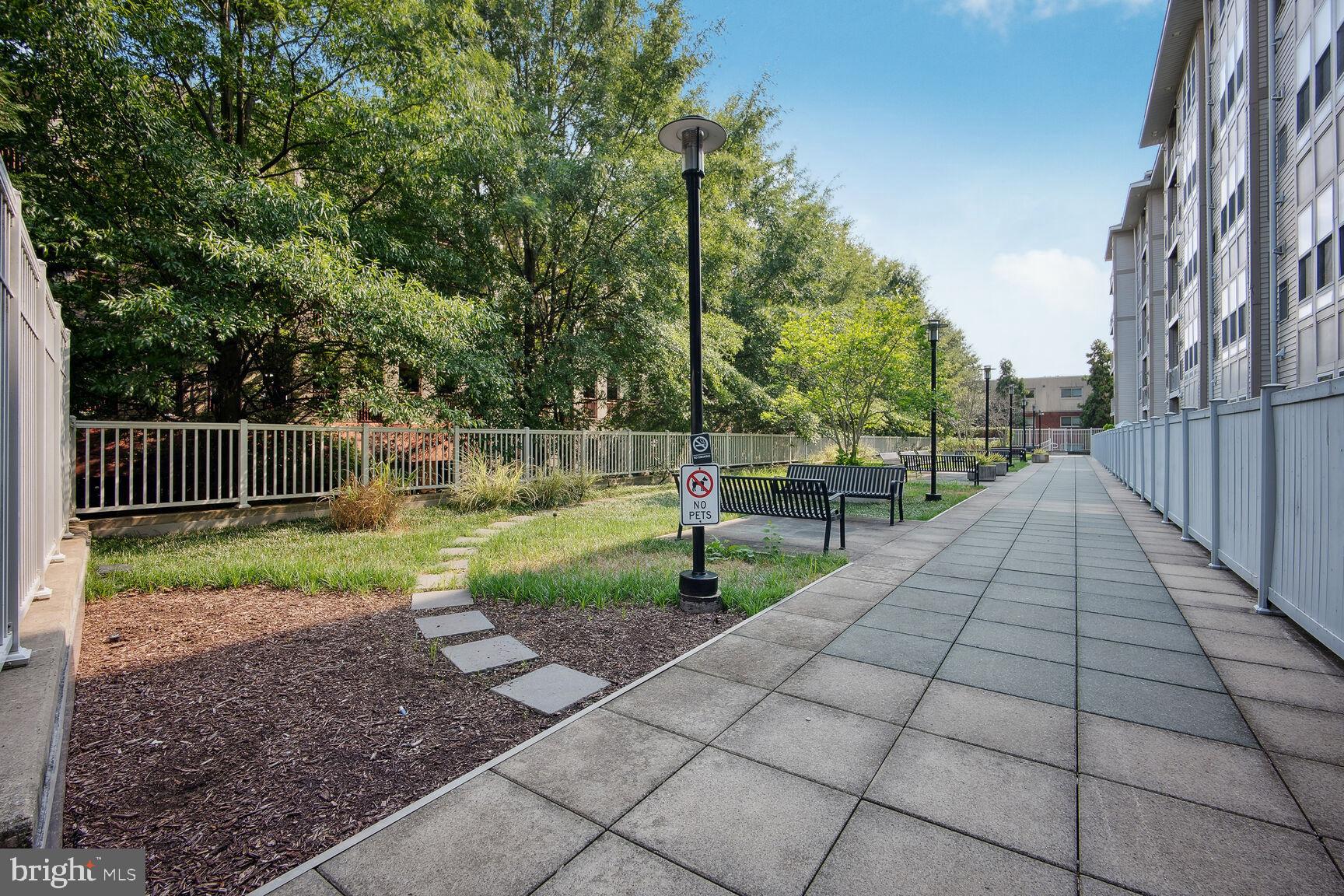 8045 Newell Street, Unit 107 Silver Spring, MD 20910 - Photo 48 of 75 a view of backyard with green space