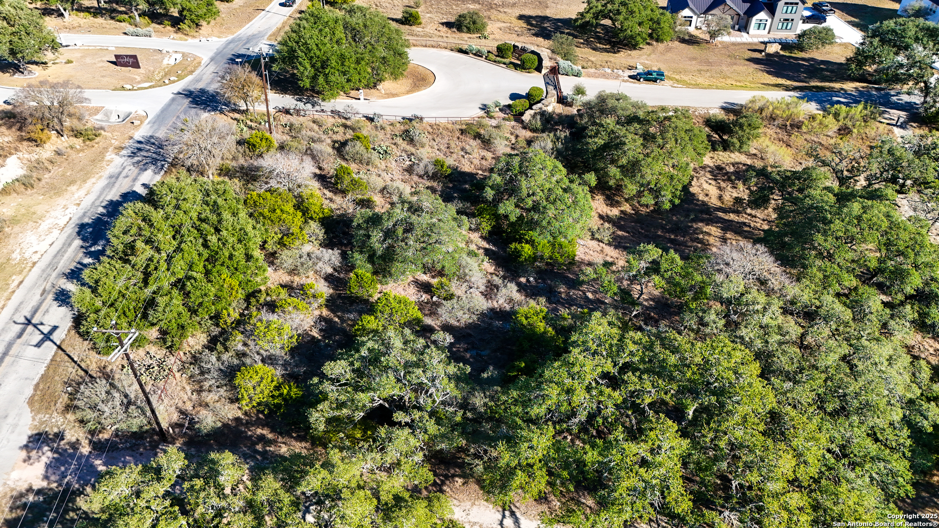 3010 Campestres Spring Branch, TX 78070 - Photo 13 of 30 a view of a plant with a plant