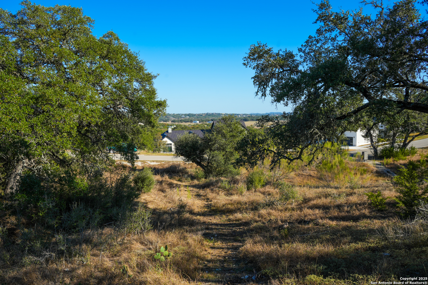 3010 Campestres Spring Branch, TX 78070 - Photo 21 of 30 a view of a lake view