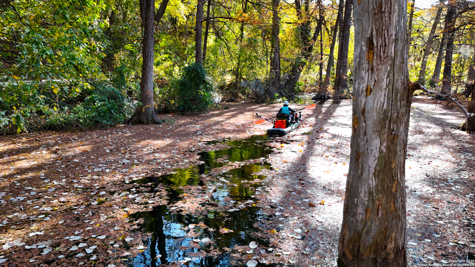 3010 Campestres Spring Branch, TX 78070 - Photo 3 of 30 a backyard of a house with lots of green space