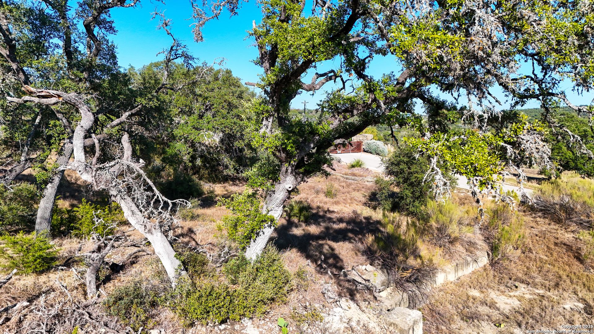 3010 Campestres Spring Branch, TX 78070 - Photo 10 of 30 a view of a tree
