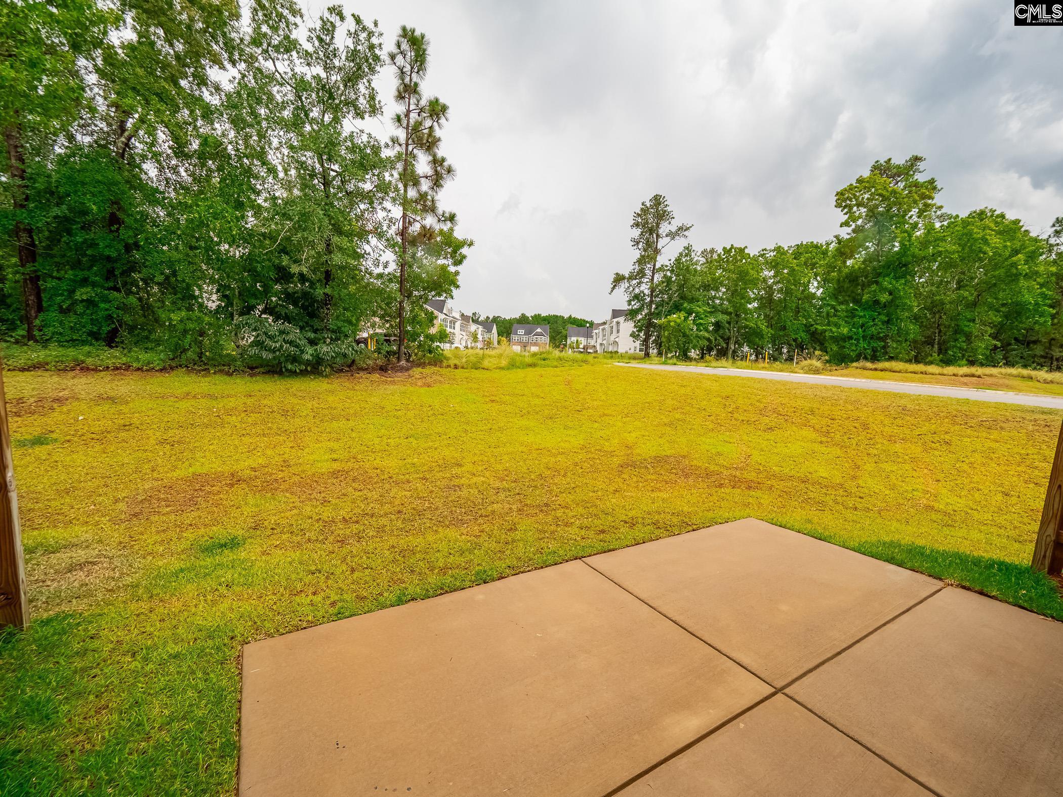 216 Flatsedge Court Lexington, SC 29072 - Photo 18 of 20