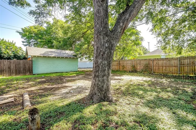 a view of a yard with a large tree and wooden fence