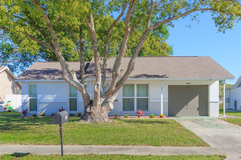 3258 Kismet Court New Port Richey, FL 34655 - Photo 1 of 1