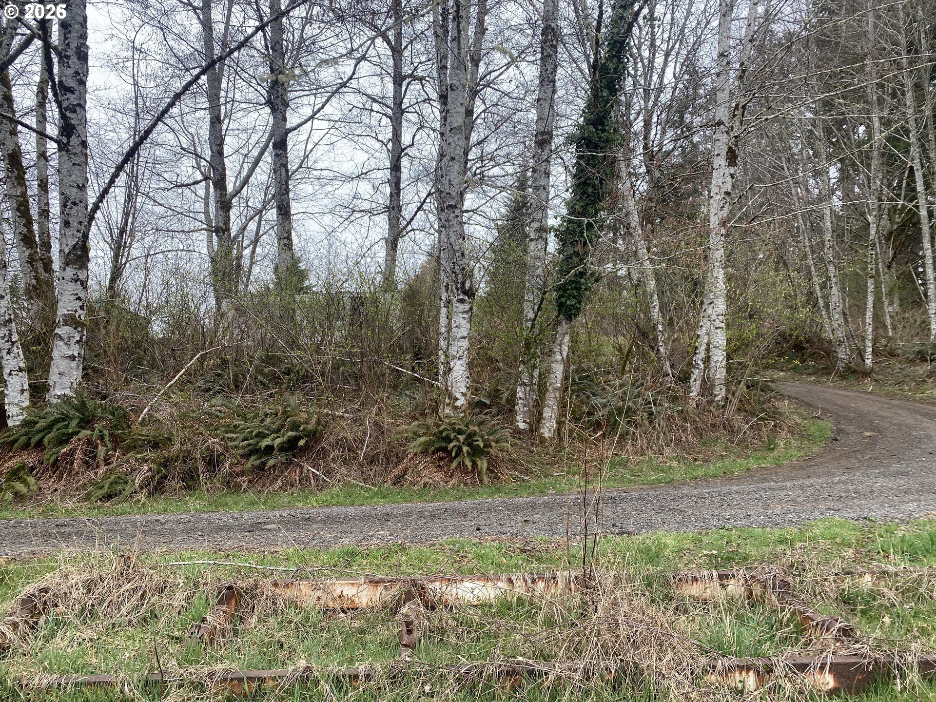 0 Elderberry Road Seaside, OR 97138 - Photo 9 of 20