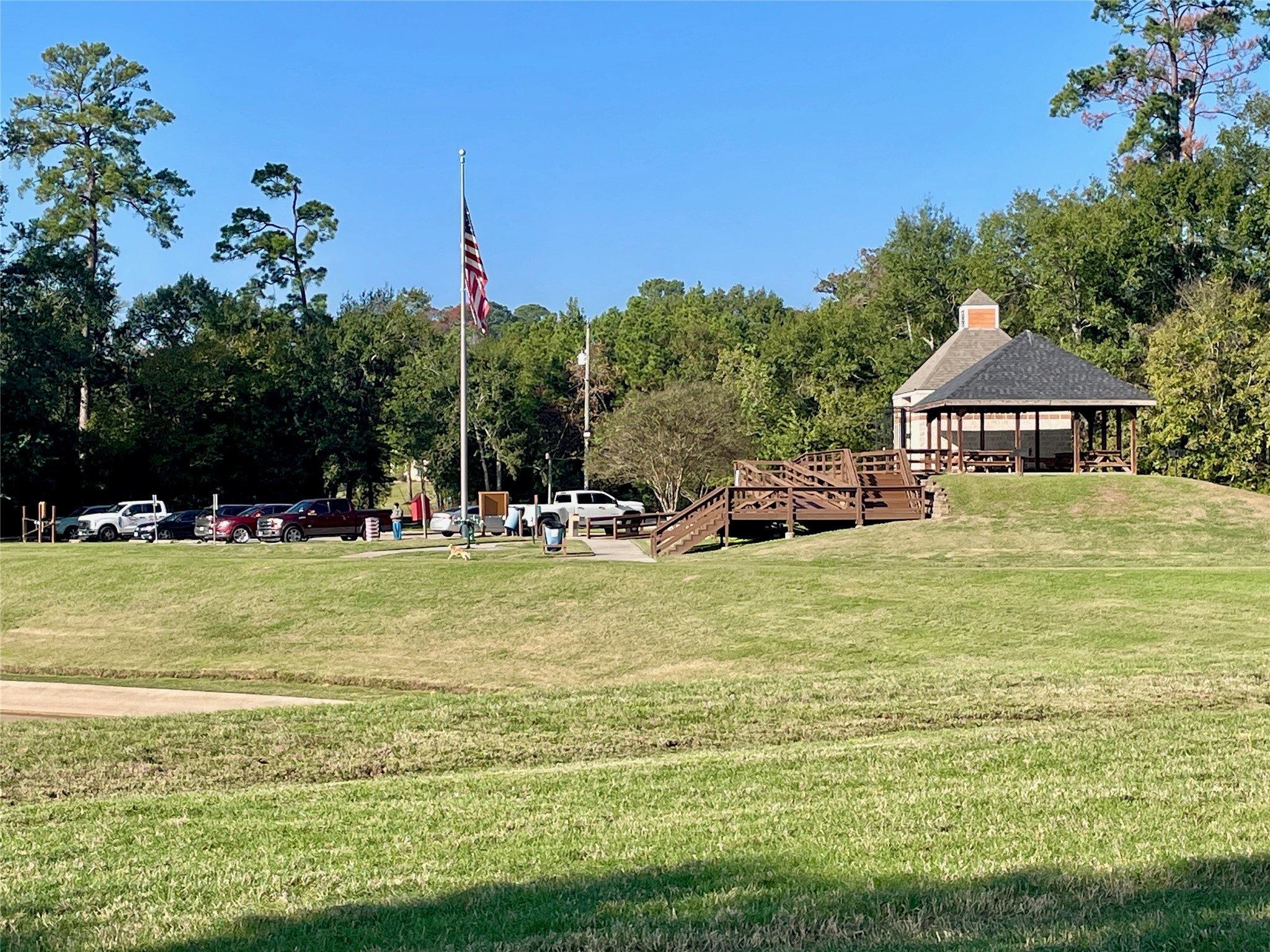 19003 Whitewood Drive Spring, TX 77373 - Photo 43 of 48 a view of a swimming pool and trees in the background