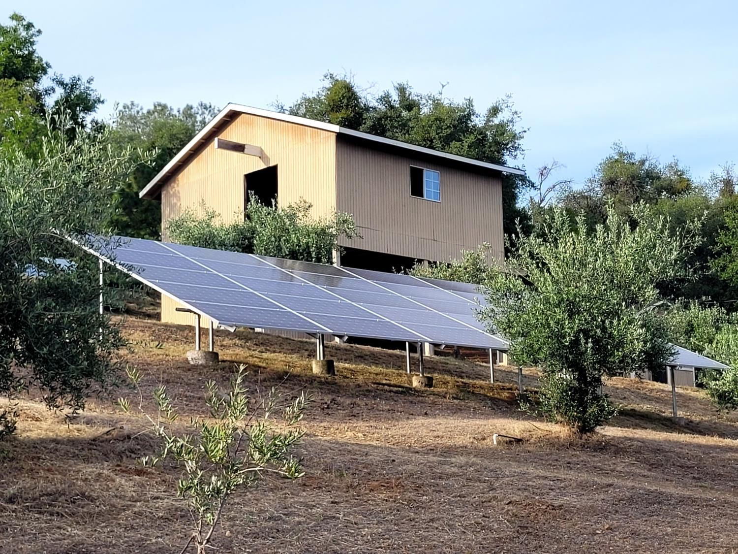 5525 Green Valley Road Placerville, CA 95667 - Photo 41 of 53 Owned Solar surrounded by a small olive tree orchard