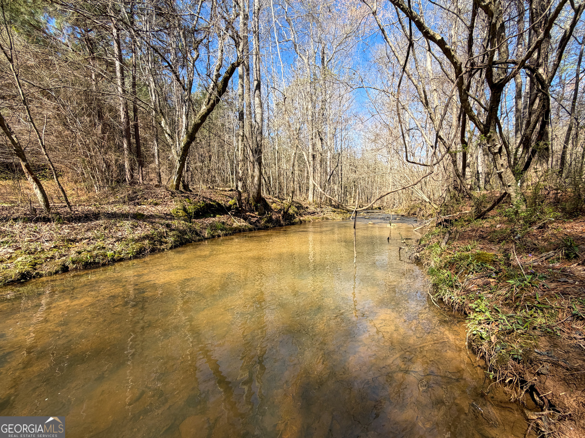 257 Acres On Ridgeway Road Franklin, GA 30217 - Photo 10 of 28