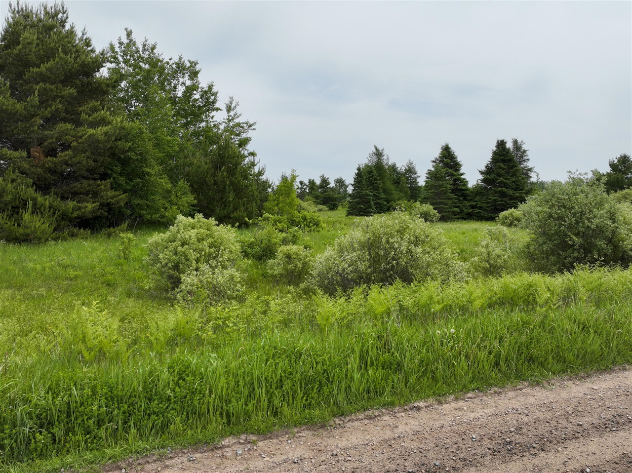 9.9 South A S Forrest Side Road Dafter, MI 49724 - Photo 5 of 14