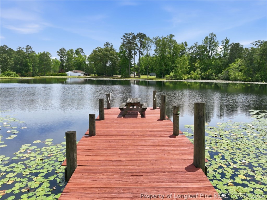 10400 Ruth Vinson Road Autryville, NC 28318 - Photo 5 of 49 a lake view with a lake view