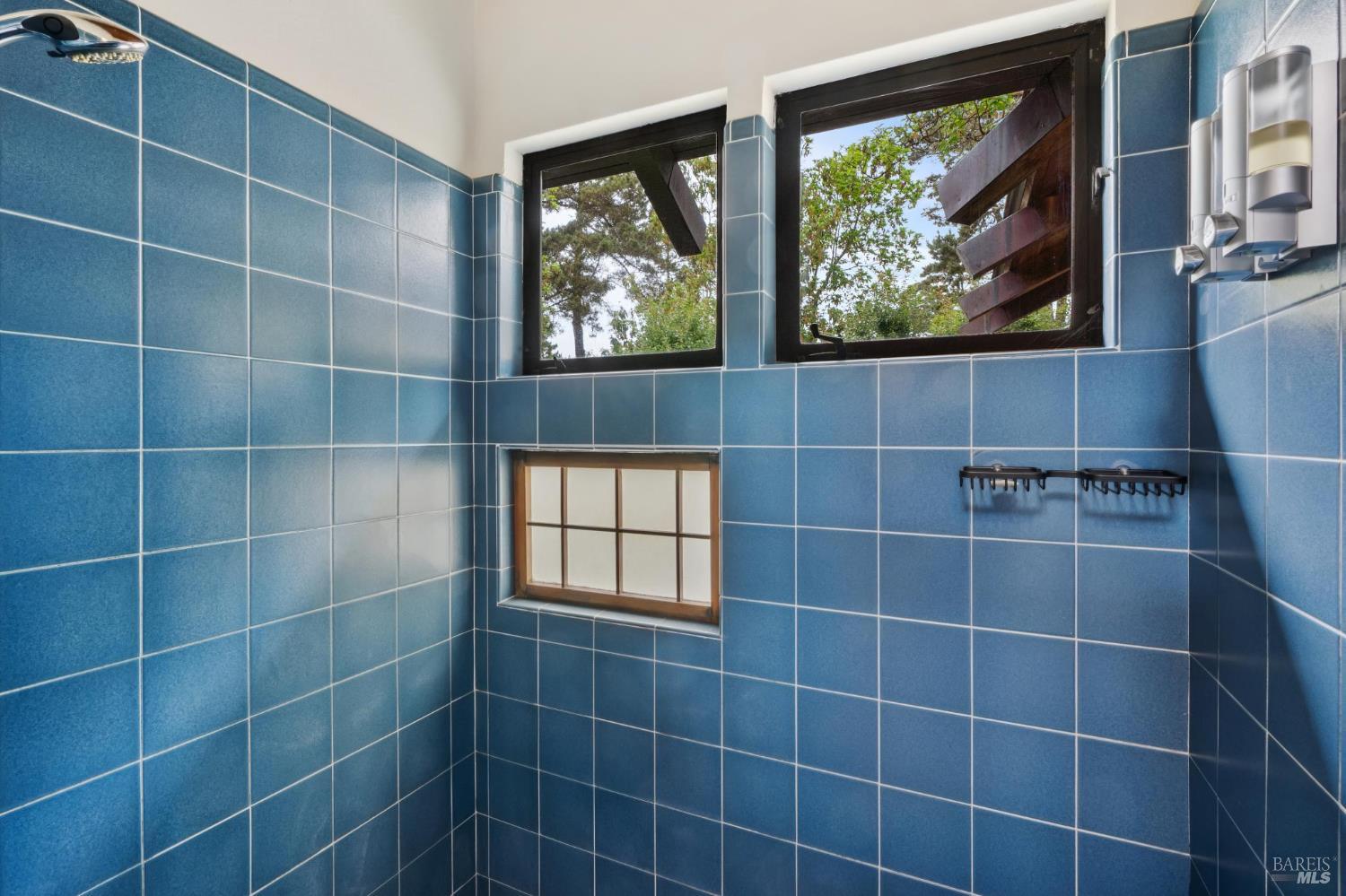 10 Miwok Way Inverness, CA 94937 - Photo 46 of 99