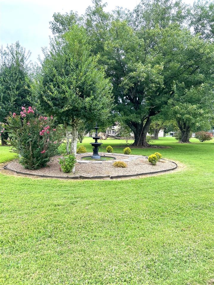 8035 Highway 259 Bee Spring, KY 42207 - Photo 14 of 17 Gallery Image 14