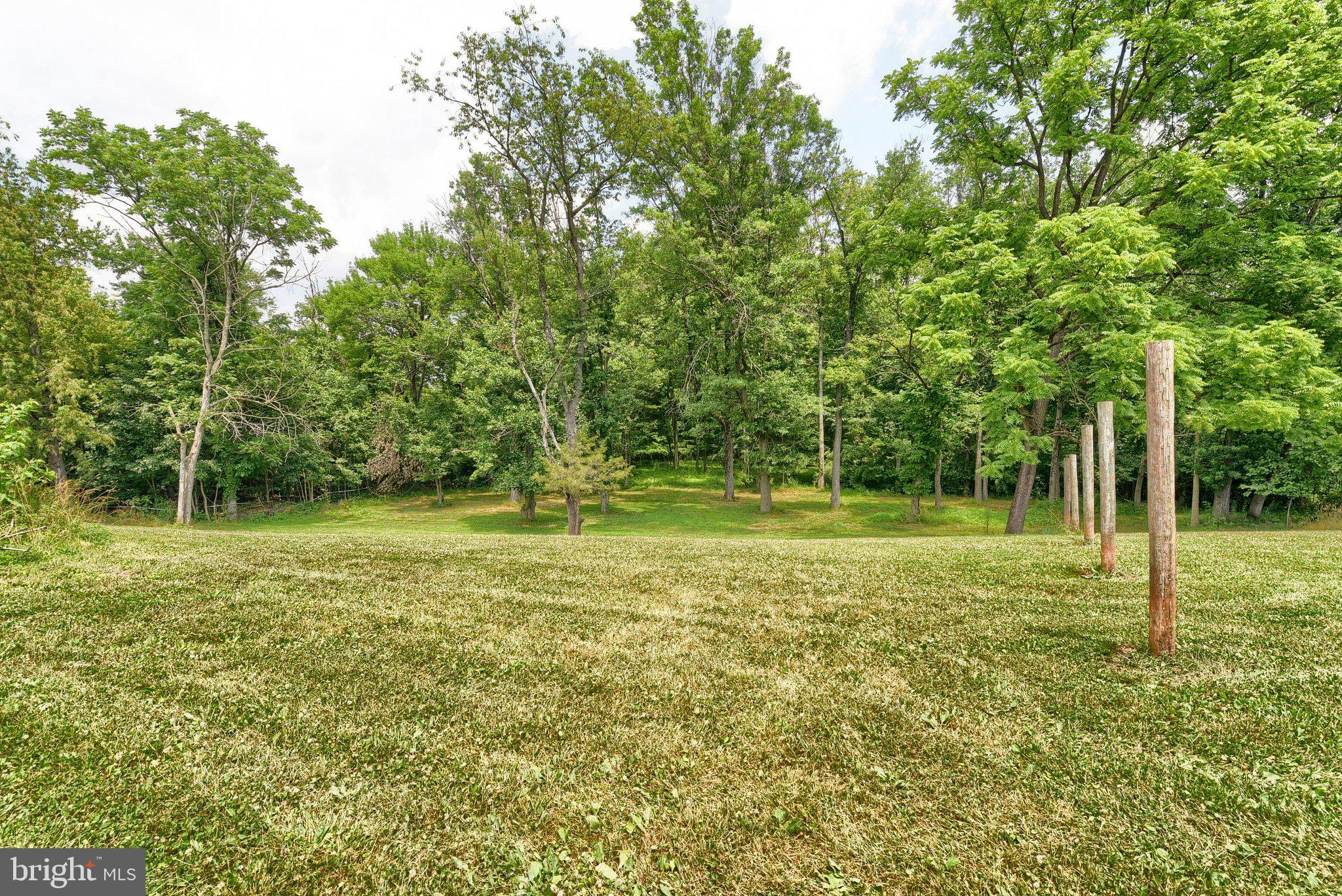 3740 Beagle Road Middletown, PA 17057 - Photo 48 of 70 a view of a field with a tree