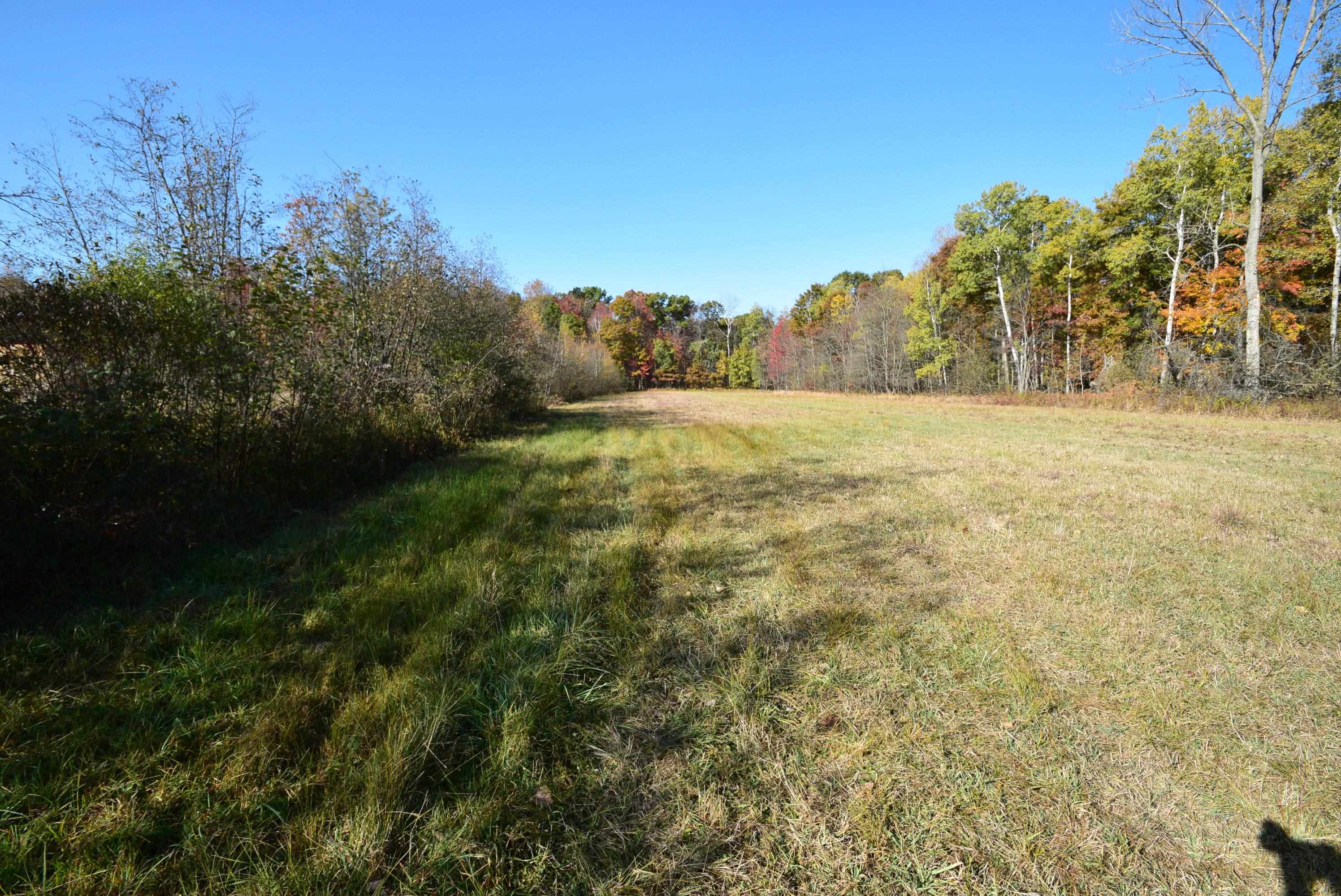 Eleven North Mile Road Sanford, MI 48657 - Photo 8 of 13