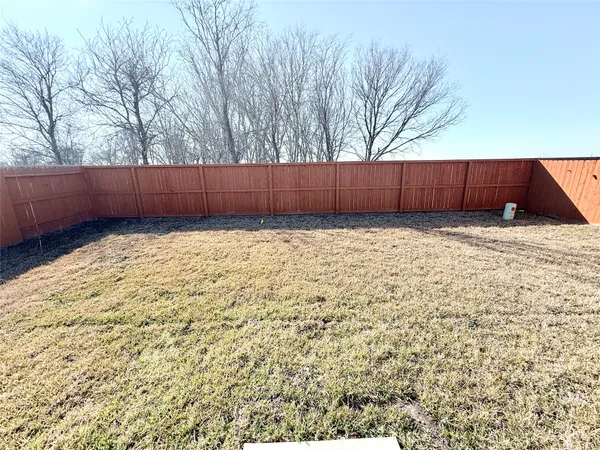 a view of a yard
