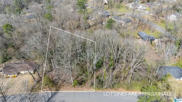 $30,000 | 0 Firethorn Drive, Unit 217, Tuscaloosa, AL 35405