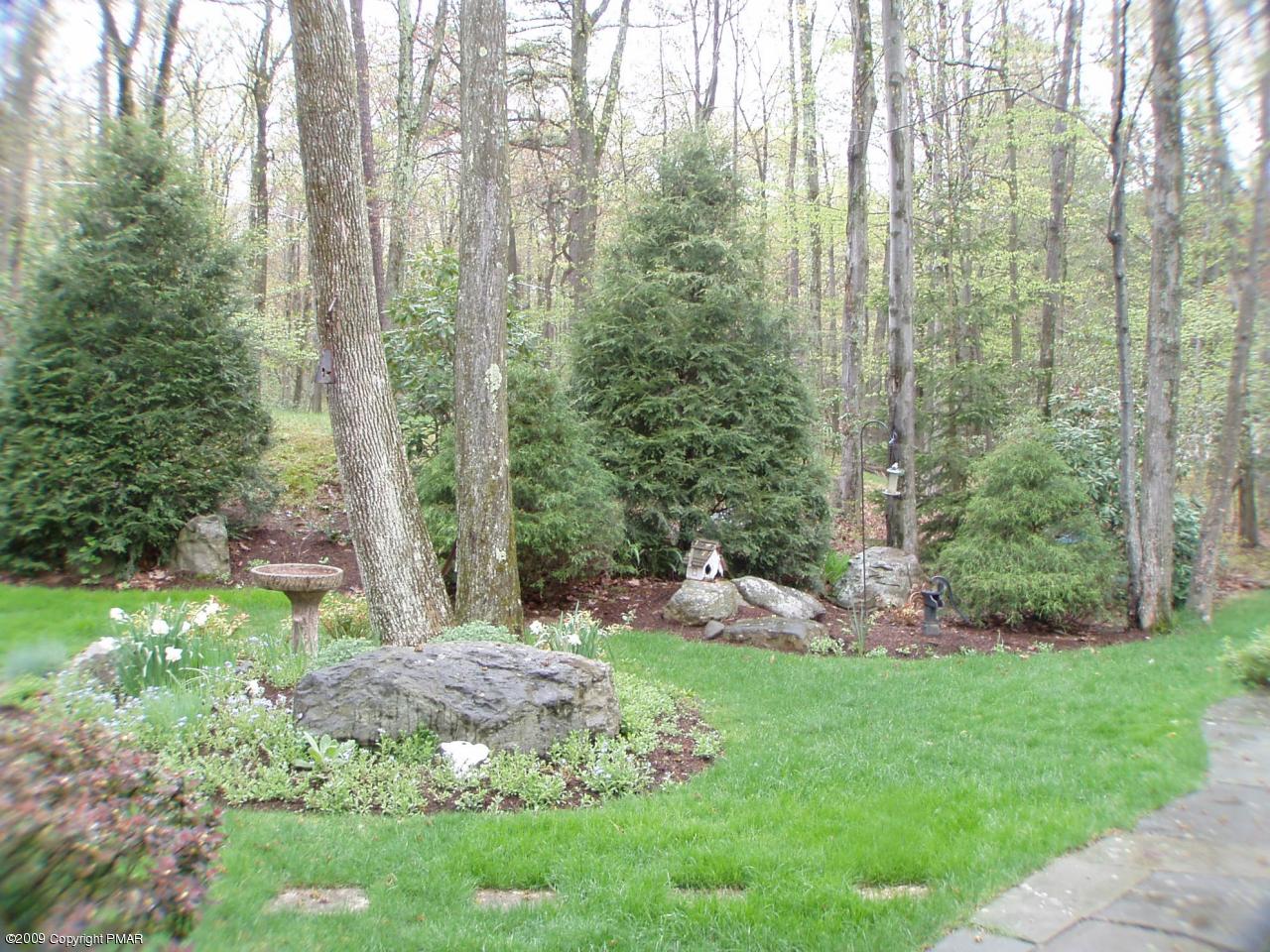 Devil's Hole Road Cresco, PA 18326 - Photo 4 of 27 a view of a yard with a tree