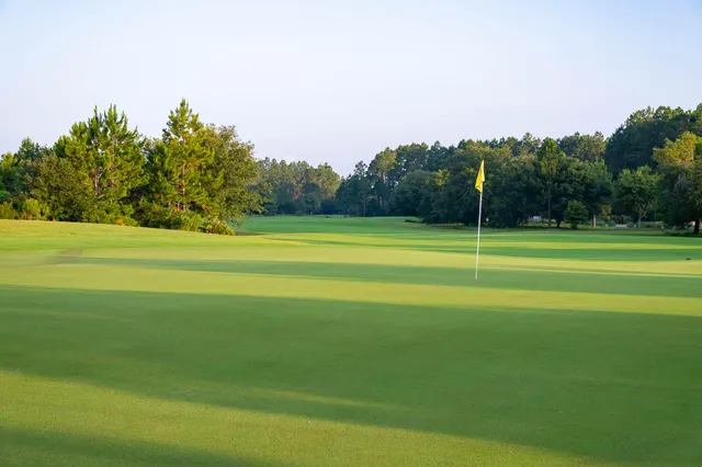 a view of an ocean and beach