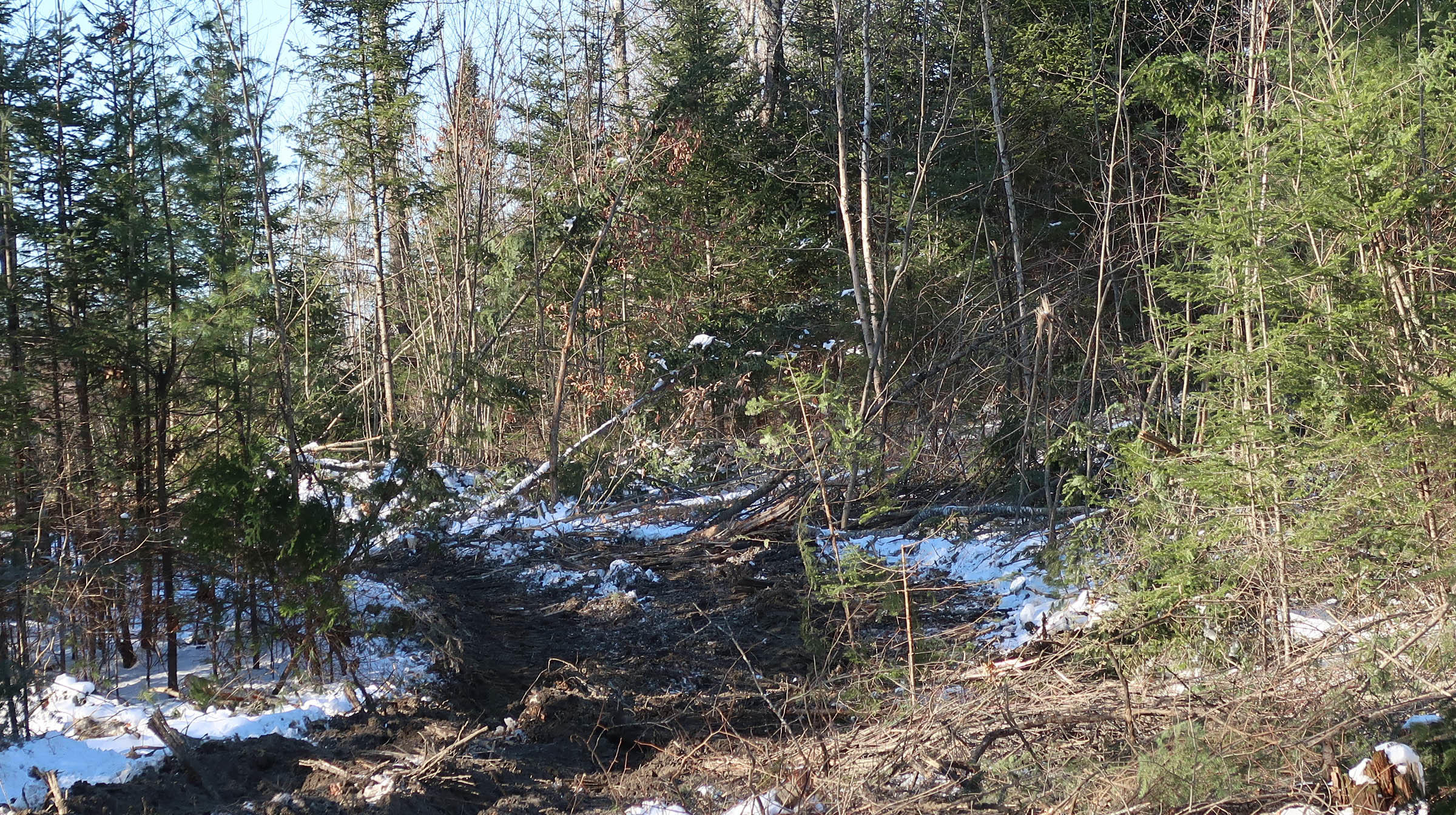 0 Parker Road Pittston, ME 04345 - Photo 6 of 11 IMG_0872